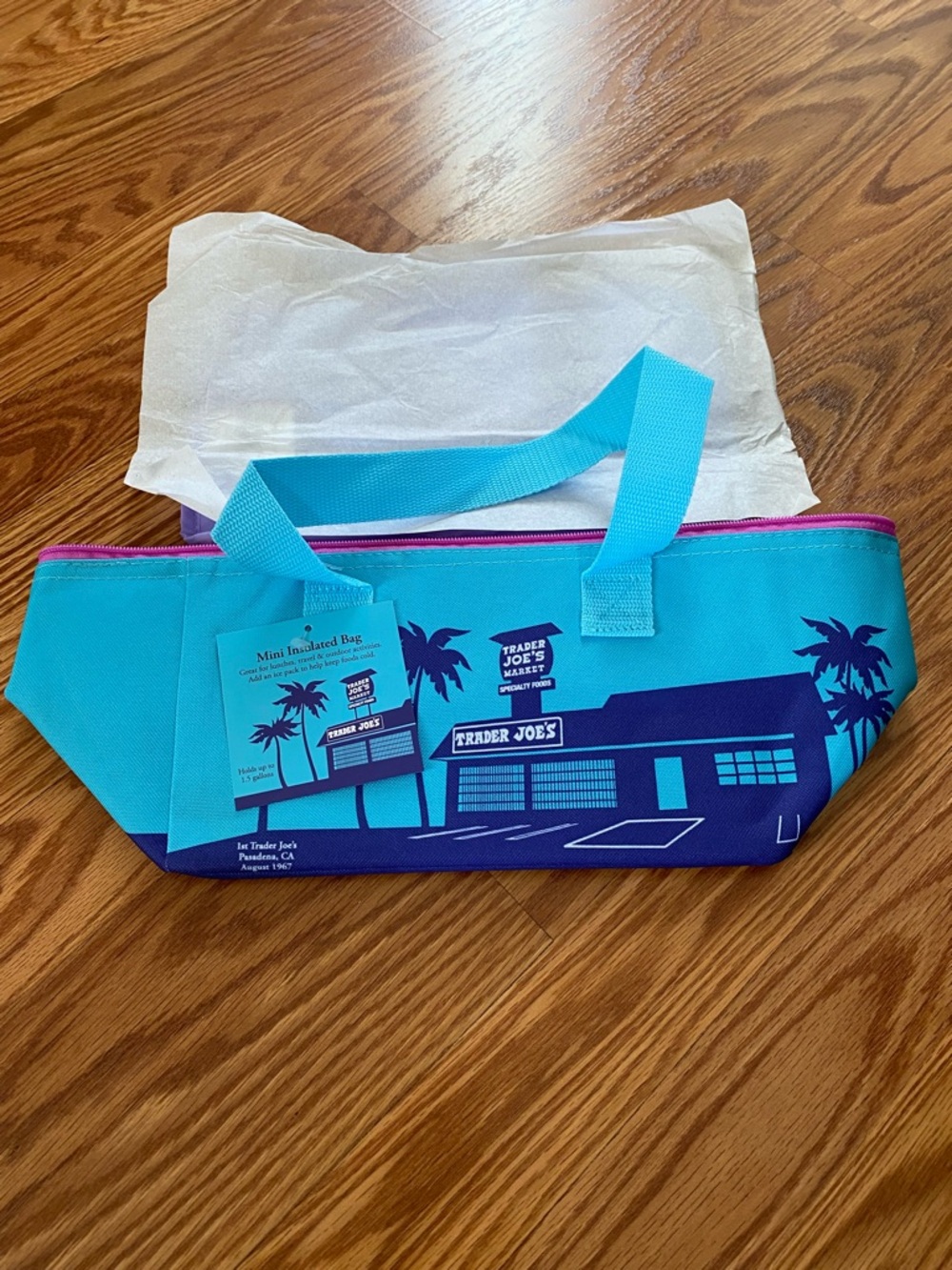 Trader Joe's Turquoise Mini Insulated Lunch Bag